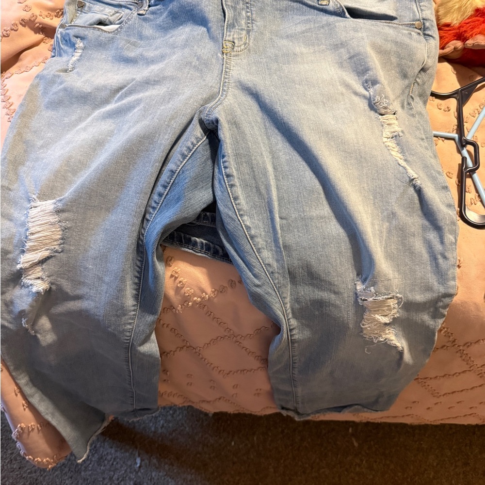 Torrid Light Blue Denim Jeans